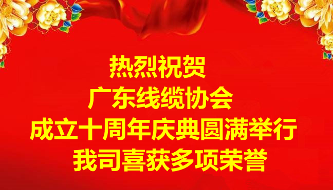 祝贺广东线缆协会成立十周年庆典圆满举行，我司喜获多项荣誉!